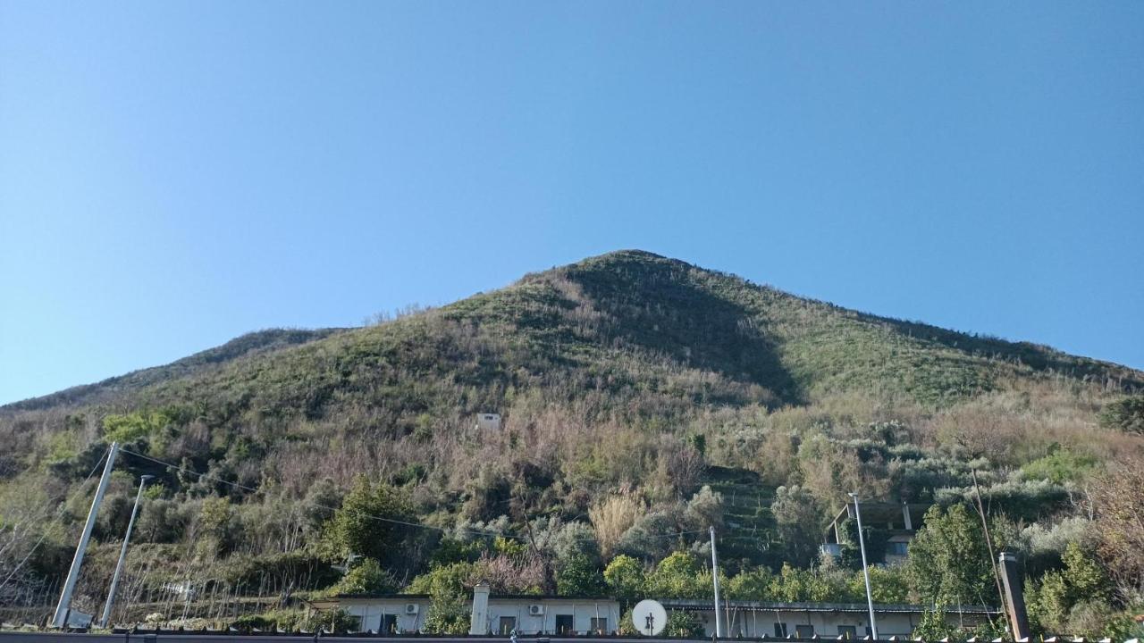 B&B Il Limoneto กราญาโน ภายนอก รูปภาพ